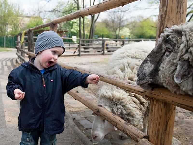 Kinderbauernhof im Görlitzer Park, Berlin