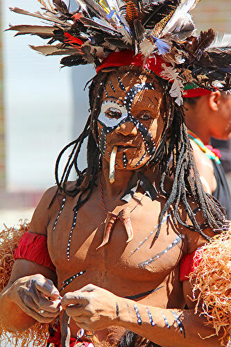 Karneval der Kulturen 2012