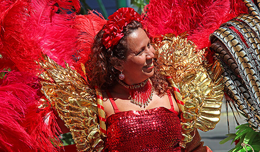 Karneval der Kulturen 2012