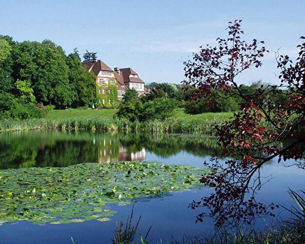 Sommer im Botanischen Garten