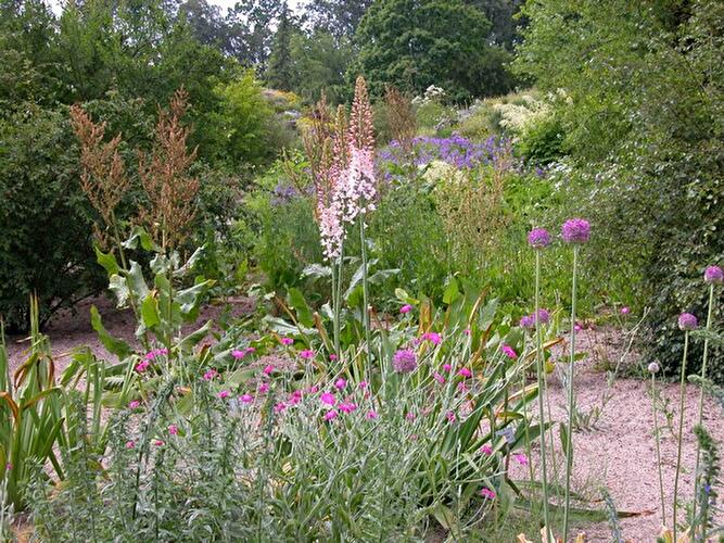 Sommer im Botanischen Garten