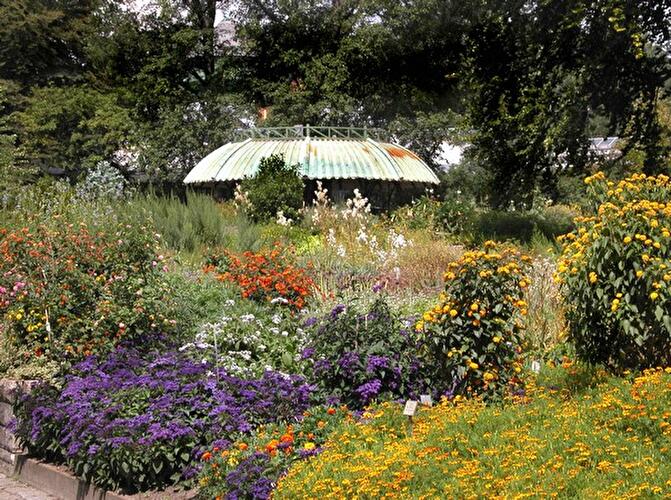 Sommer im Botanischen Garten