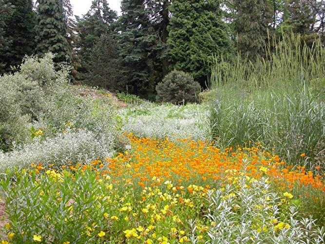 Sommer im Botanischen Garten