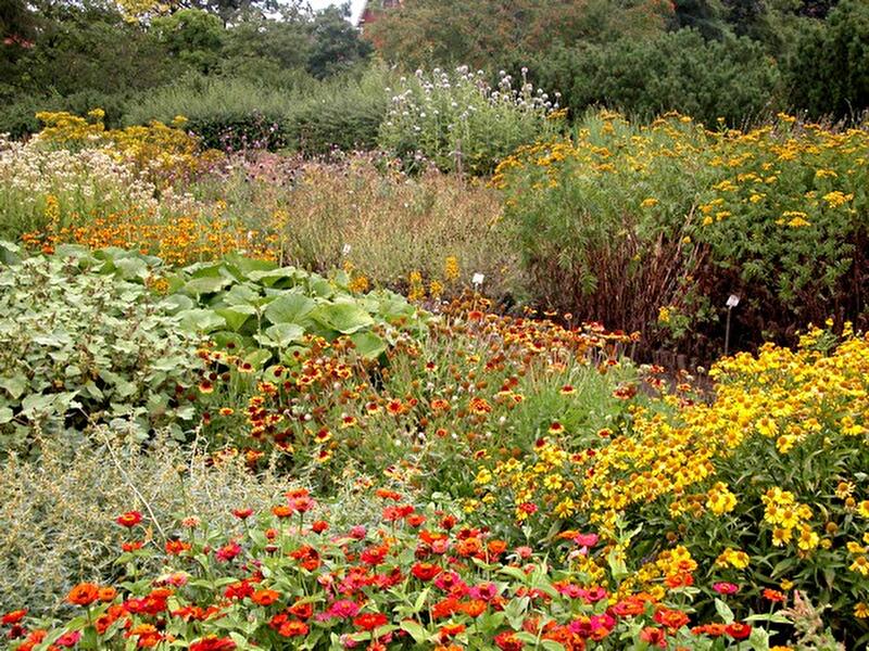 Sommer im Botanischen Garten