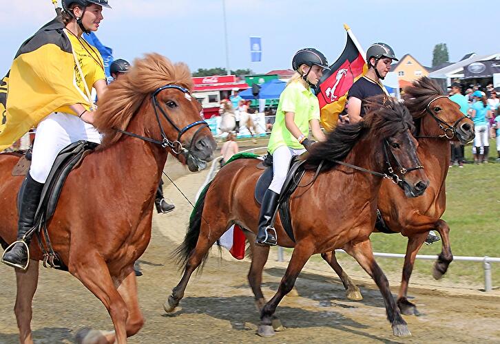 Eröffnung Ovalpferderennbahn Karlshorst  und Deutsche Jugend Islandpferd Meisterschaft 2012