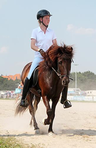 Eröffnung Ovalpferderennbahn Karlshorst  und Deutsche Jugend Islandpferd Meisterschaft 2012