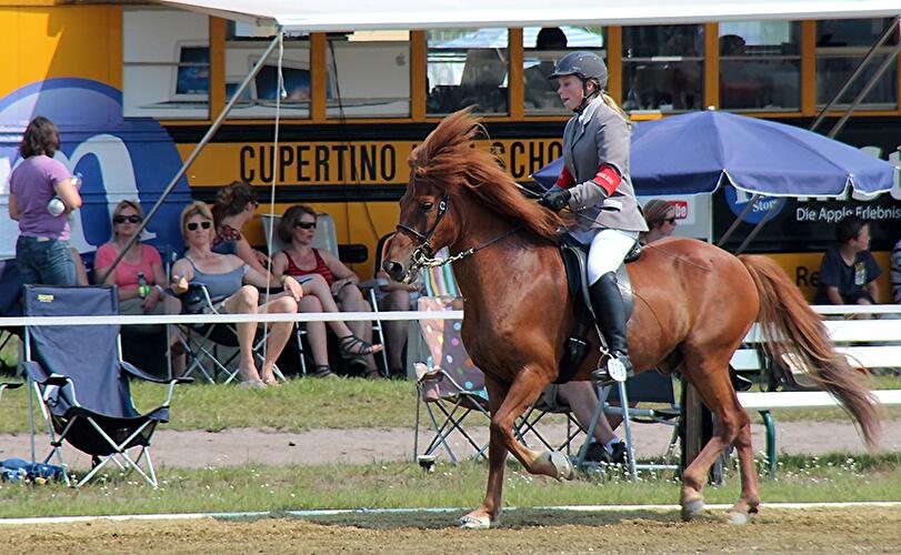 Eröffnung Ovalpferderennbahn Karlshorst  und Deutsche Jugend Islandpferd Meisterschaft 2012