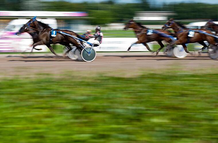 Sommer in Berlin 2012