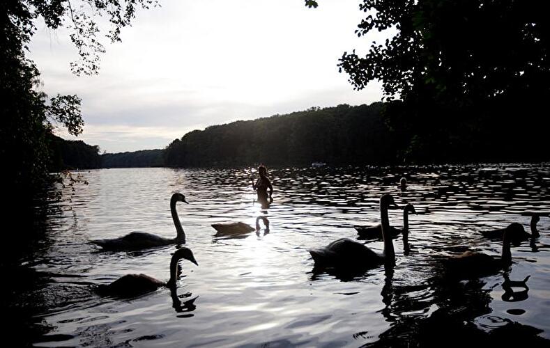 Sommer in Berlin 2012