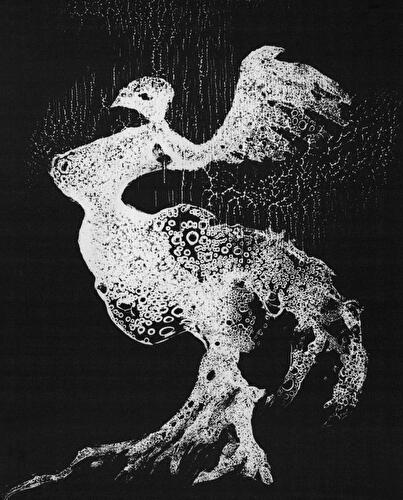 Heinz Hajek-Halke: Der Alchimist - Lichtgrafisches Spätwerk