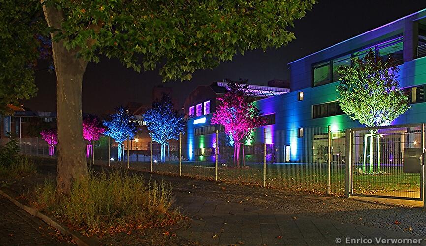 Festival of Lights 2012