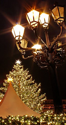 Christmas Market at Gendarmenmarkt