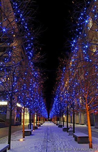Weihnachten in der St. Wolfgangstraße in Berlin Mitte