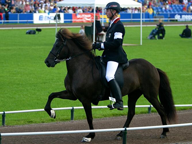 Islandpferde-Weltmeisterschaft 2013