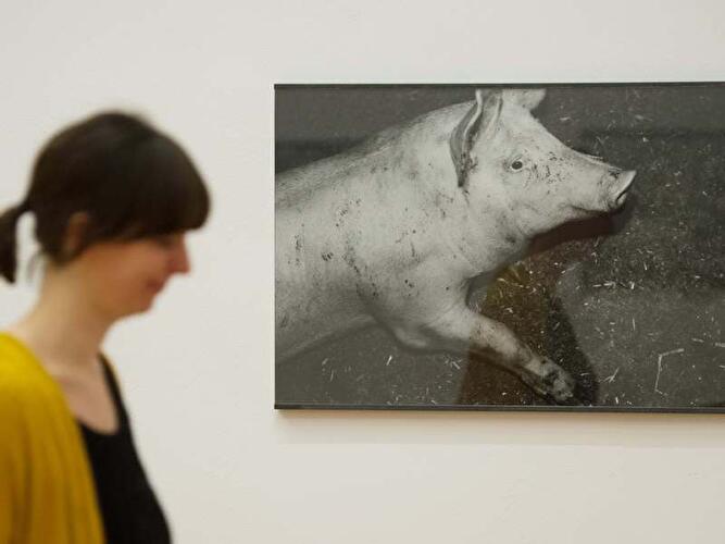 Michael Schmidt. Lebensmittel - Ausstellung im Martin-Gropius-Bau