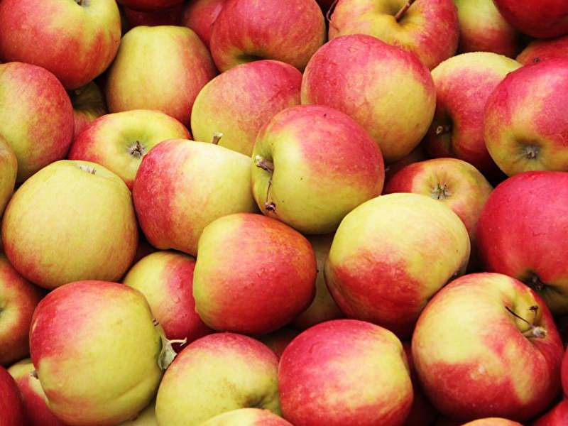 Äpfel nach Ernte