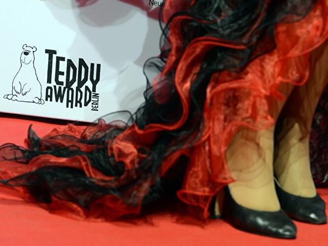Teddy Award 2013