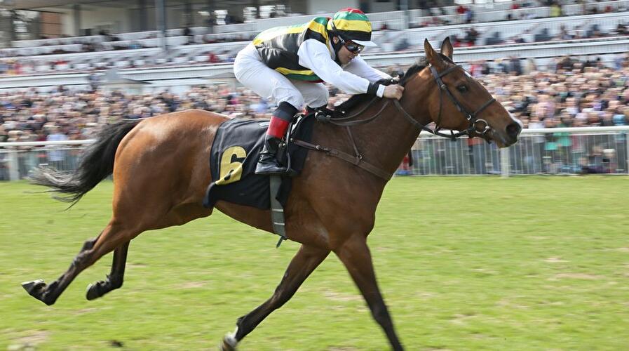 Saisonstart Hoppegarten