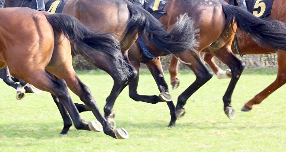 Saisonstart Hoppegarten