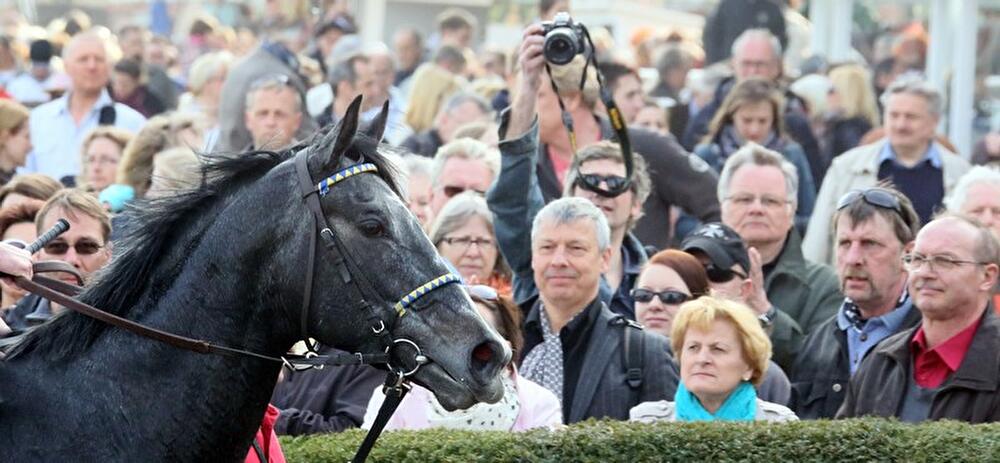 Saisonstart Hoppegarten