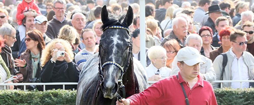 Saisonstart Hoppegarten