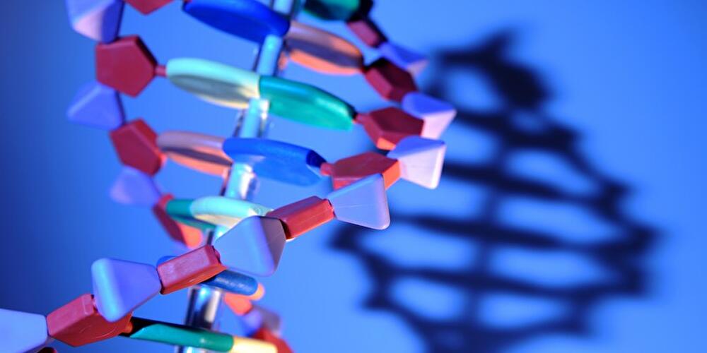 Entwicklungen - 60 Jahre Entdeckung der DNA-Struktur