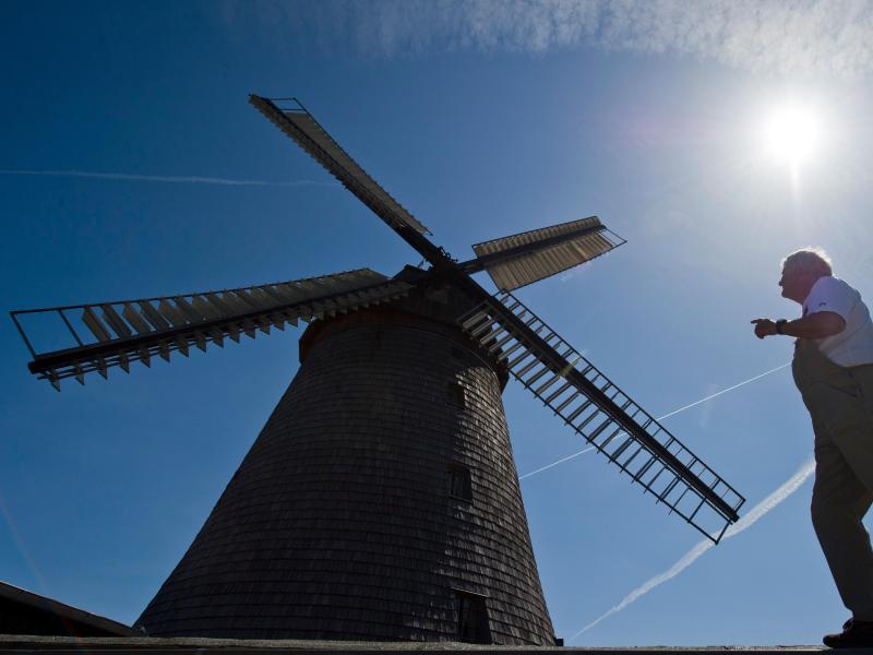 Blick auf eine Holländermühle