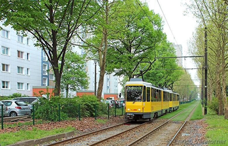 Spring in Lichtenberg