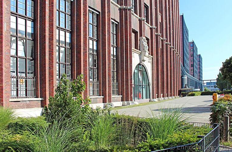 Frühling in Tempelhof