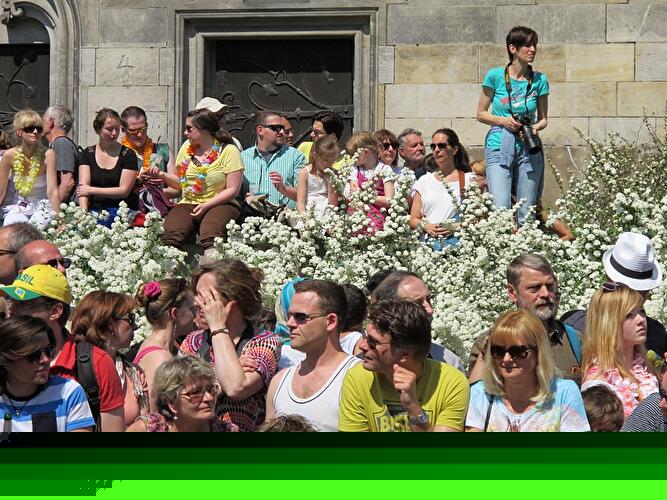 Karneval der Kulturen 2013