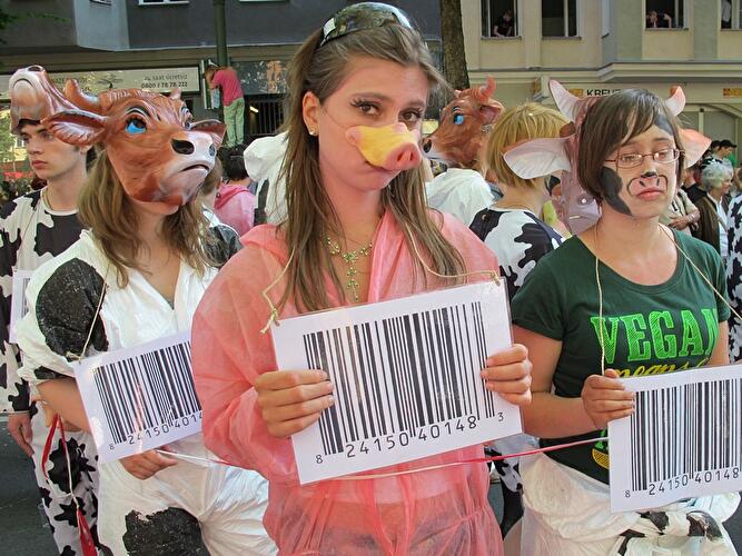 Karneval der Kulturen 2013