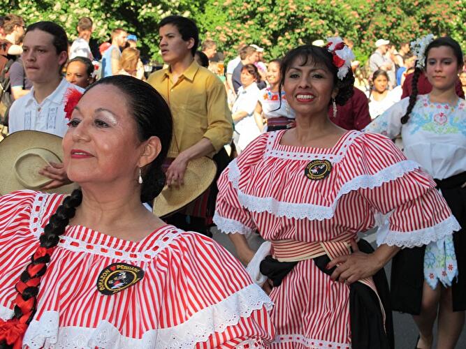 Karneval der Kulturen 2013