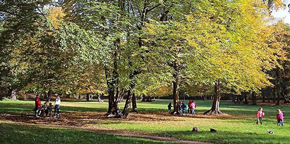 Herbst in Pankow