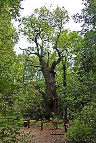 Platz 6: Dicke Marie in Reinickendorf