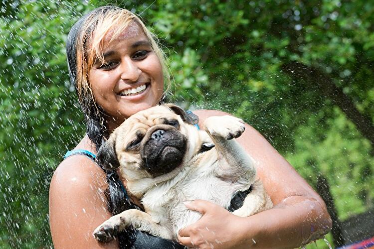 Internationales Mopstreffen