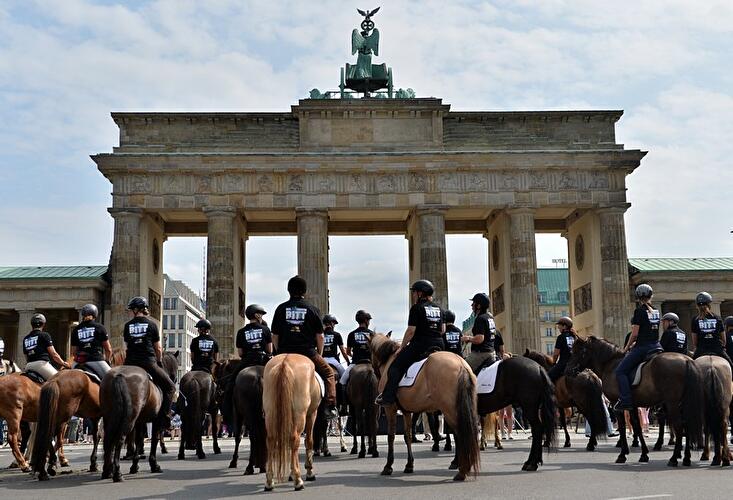 Islandpferde-Weltmeisterschaft 2013