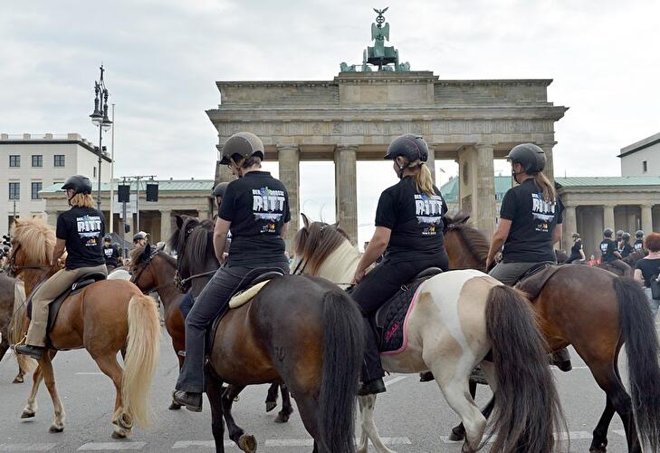 Islandpferde-Weltmeisterschaft 2013