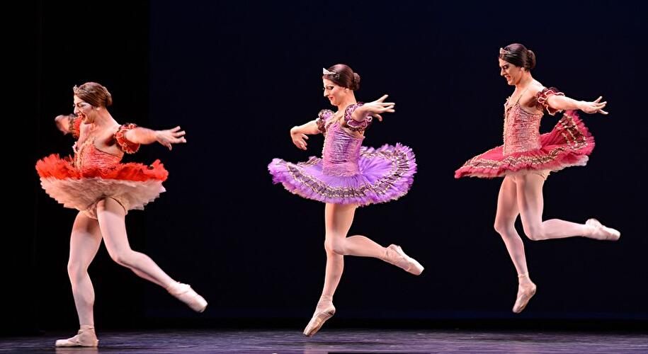 Les Ballets Trockadero de Monte Carlo