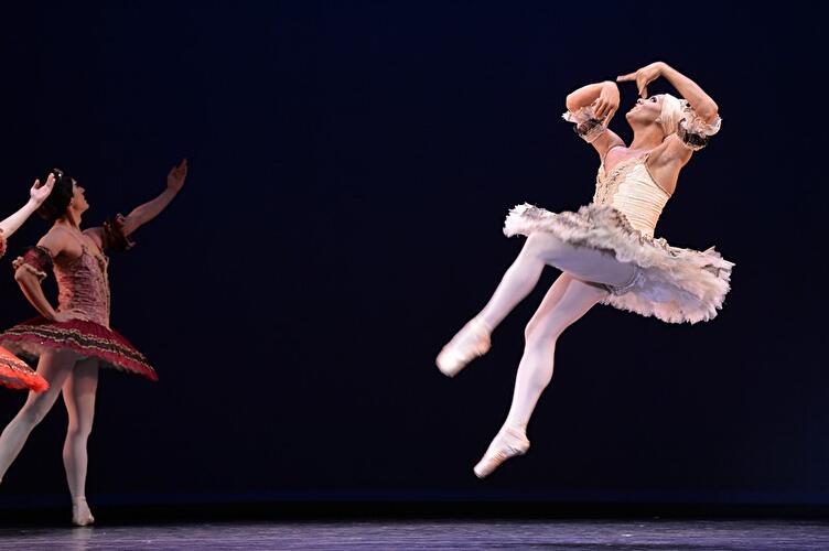 Les Ballets Trockadero de Monte Carlo