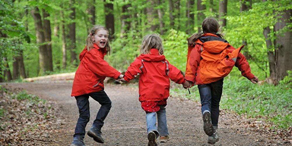 Kinder im Wald