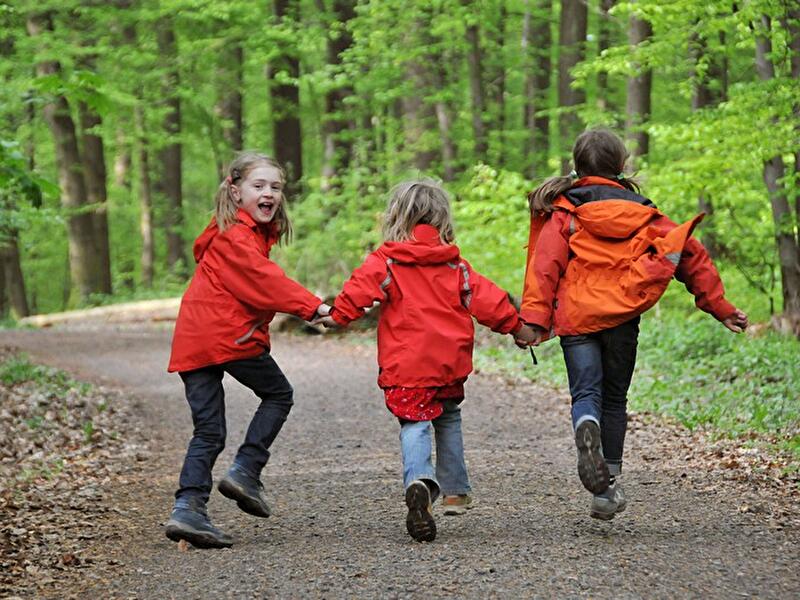 Kinder im Wald