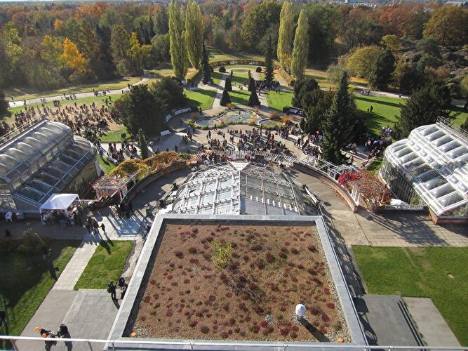 Halloween im Botanischer Garten