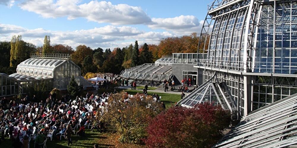 Halloween im Botanischer Garten