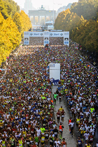 Berlin Marathon 2013