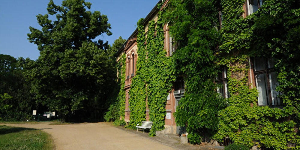 Späth-Arboretum der Humboldt-Universität