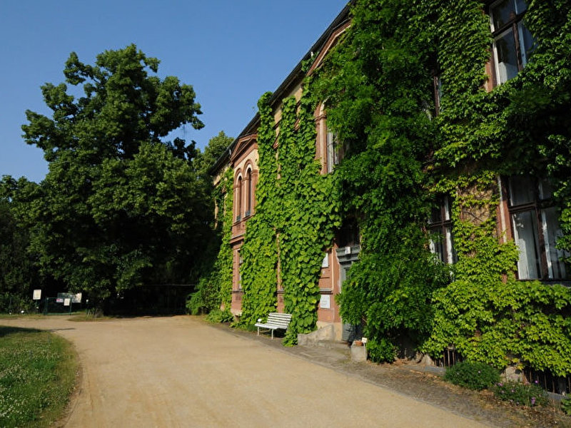 Späth Arboretum of the Humboldt University