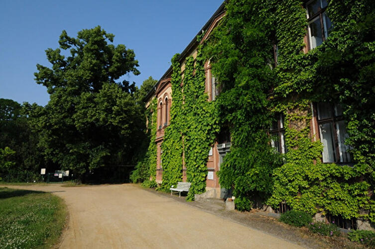 Späth-Arboretum der Humboldt-Universität