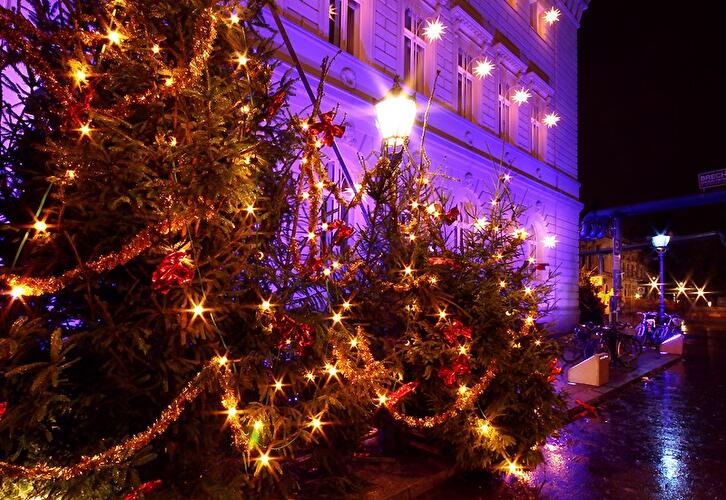 Weihnachtsmarkt am Opernpalais 2013