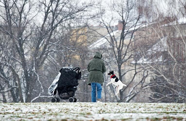 Winter in Berlin 2014