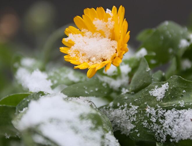 Winter in Berlin 2014